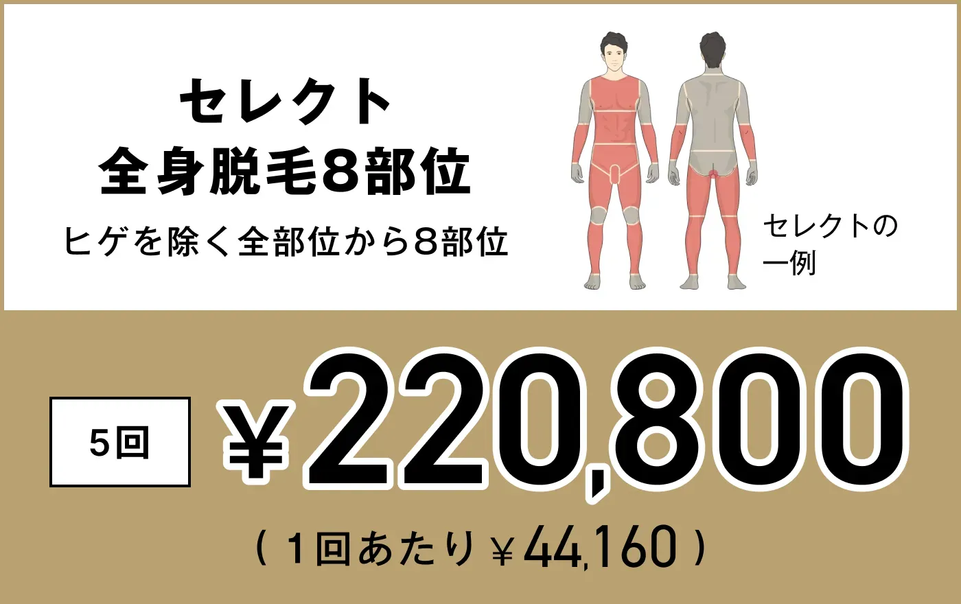 ゴリラクリニック セレクト全身脱毛8部位の対象部位と料金